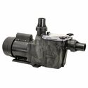 Poolrite Quietline SQI / PM
Series Pumps