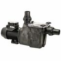 Poolrite Gemini SQ Twin Speed
Series Pumps