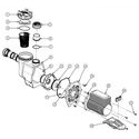 CTX Series Pump Spare Parts