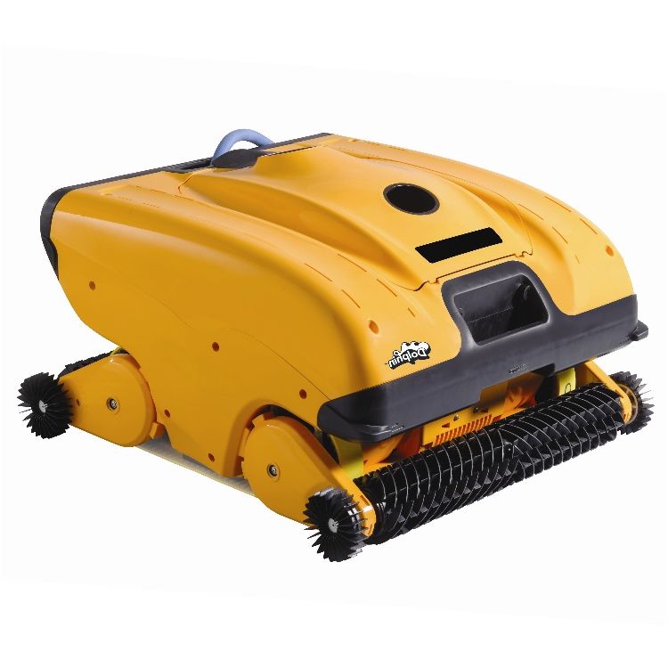 Dolphin Wave 200 Automatic Pool Cleaner