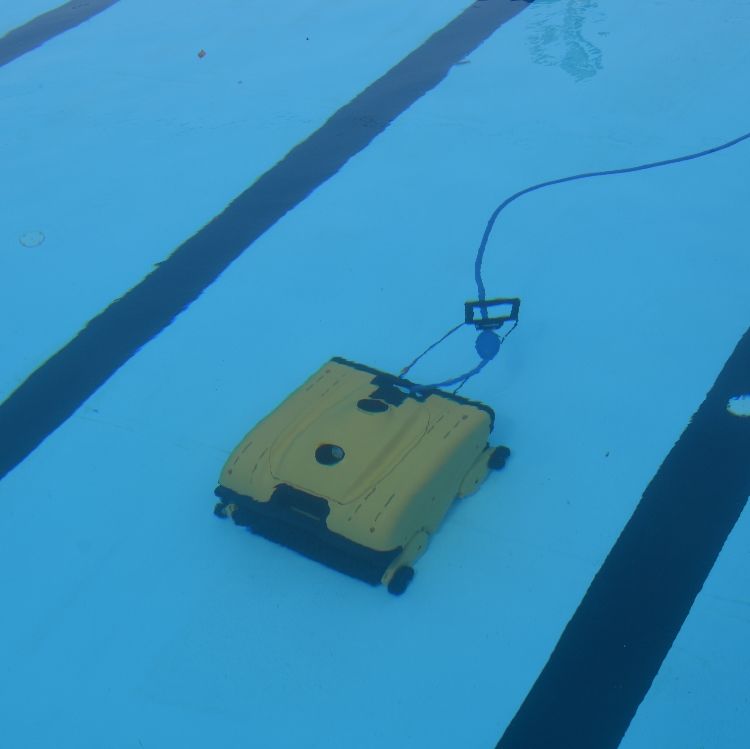 Dolphin Wave 200 Automatic Pool Cleaner