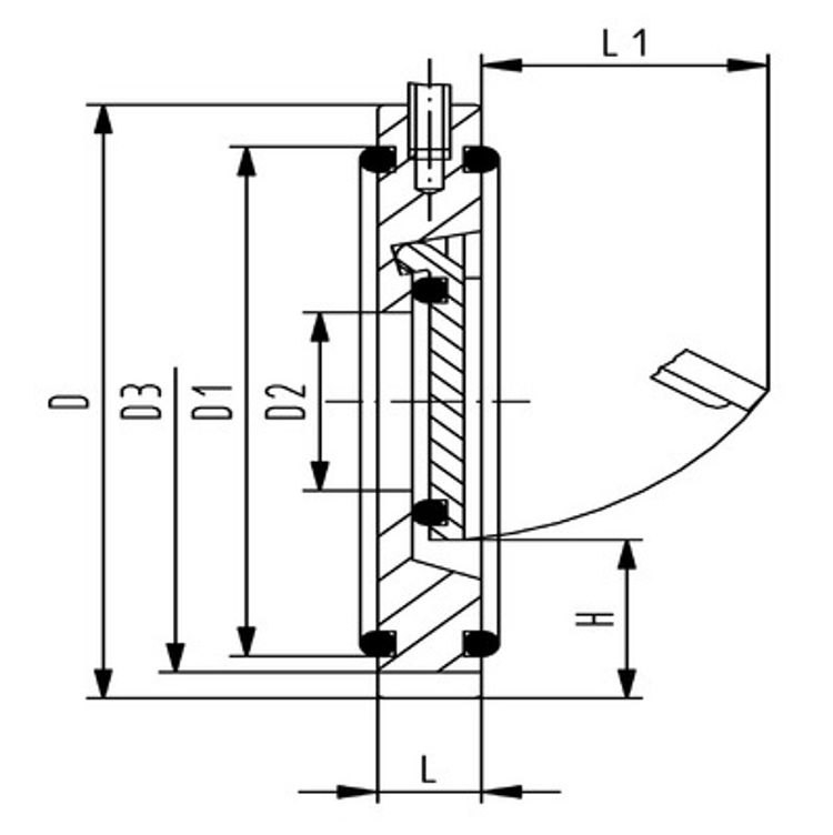 Georg Fischer GF Type 369 Check Valve 100mm