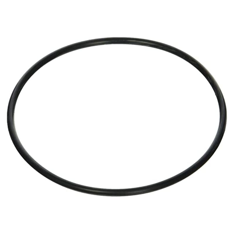 Jandy Inline Water Filter Replacement Seal R0374500