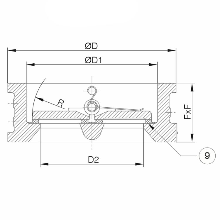 Wafer Duo Check Valve Cast Iron 250mm