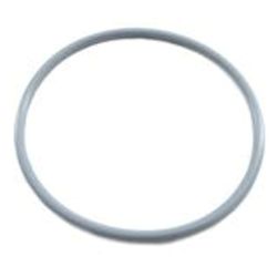 Astral CTX Pump Pre Strainer Seal 70006