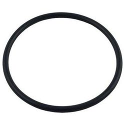 Astral Maxim Pump Pre Strainer Seal 4405010373