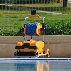 Dolphin Wave 200 Automatic Pool Cleaner