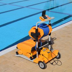 Dolphin Wave 200 Automatic Pool Cleaner