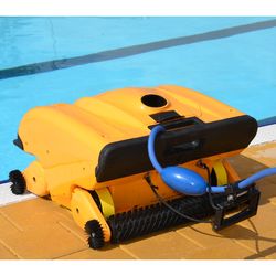 Dolphin Wave 200 Automatic Pool Cleaner