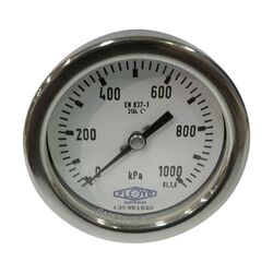 Floyd Pressure Gauge 100mm Rear Entry 1000 kPa Stainless Steel