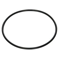 Jandy Inline Water Filter Replacement Seal R0374500