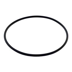 Jandy Never Lube Two Three Way Valve Lid Seal W1132