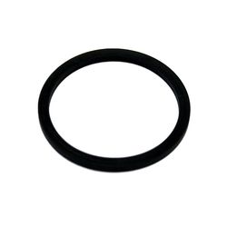 ProMinent Sample Water Filter
Gasket - EPDM (Rubber)