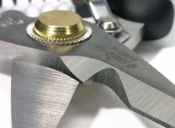 Stainless Cutting Scissors