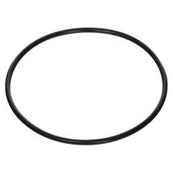 Waterco Hydro 5000 Strainer
Lid Seal (Part 62027)